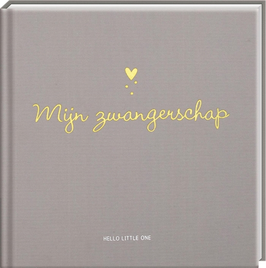 Afbeelding van Baby invulboeken - Mijn zwangerschap