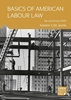 Afbeelding van Basics of American Labour Law