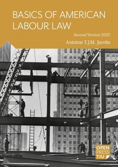 Afbeelding van Basics of American Labour Law