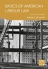 Afbeelding van Basics of American Labour Law