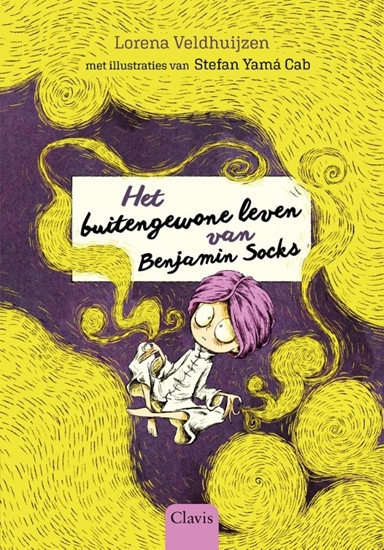 Afbeelding van Het buitengewone leven van Benjamin Socks