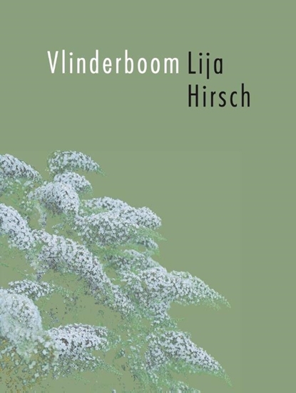 Afbeelding van Vlinderboom