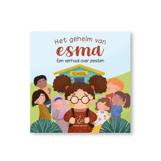 Afbeelding van Het geheim van Esma