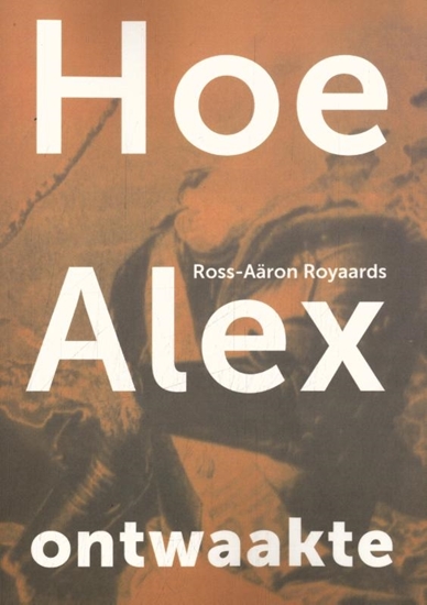Afbeelding van Hoe Alex ontwaakte