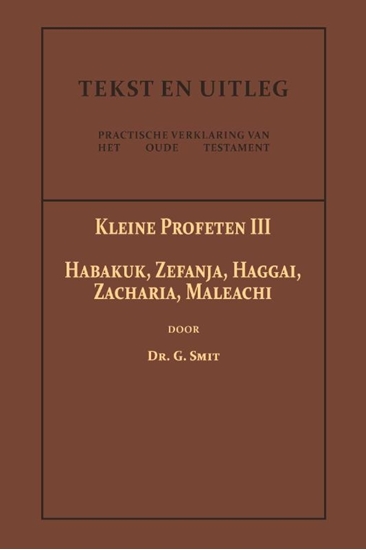 Afbeelding van Tekst en Uitleg van het Oude Testament De Kleine Profeten III
