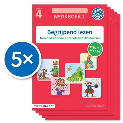 Afbeeldingen van Toetsbaas Begrijpend lezen werkboek 1 (Set van 5)