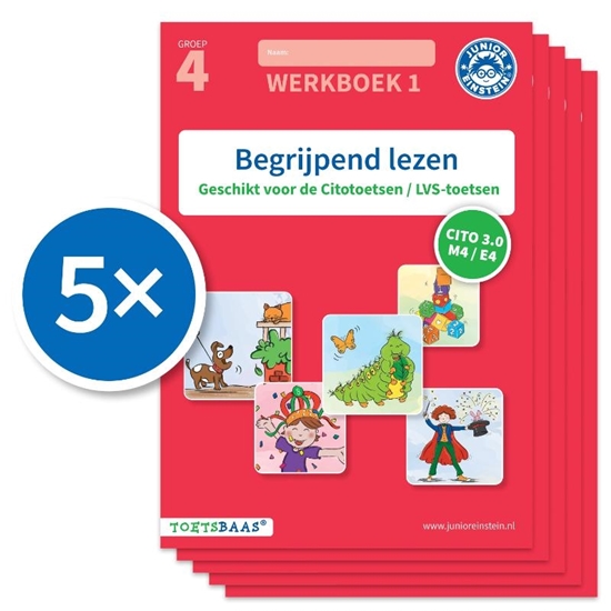 Afbeelding van Toetsbaas Begrijpend lezen werkboek 1 (Set van 5)