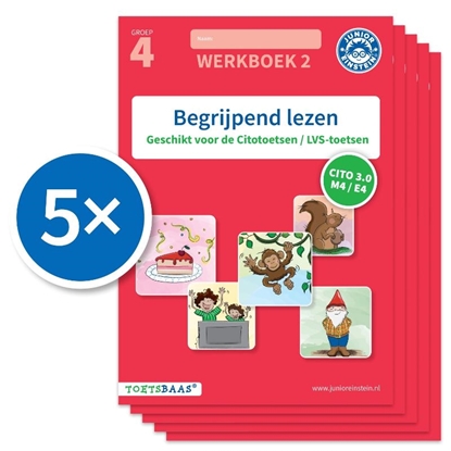 Afbeeldingen van Toetsbaas Begrijpend lezen werkboek 2 (Set van 5)