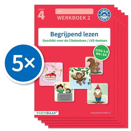 Afbeelding van Toetsbaas Begrijpend lezen werkboek 2 (Set van 5)
