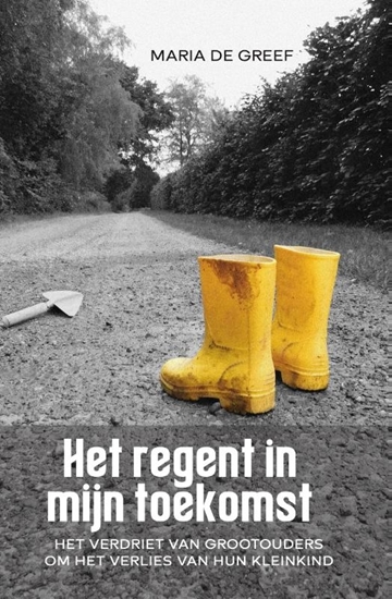 Afbeelding van Het regent in mijn toekomst
