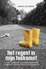 Afbeelding van Het regent in mijn toekomst