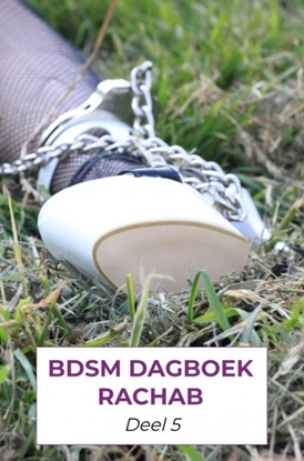 Afbeeldingen van BDSM dagboek rachab deel 5