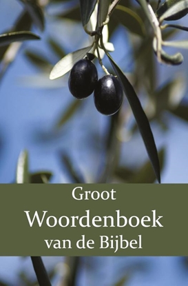 Afbeeldingen van Groot Woordenboek van de Bijbel Groot Woordenboek van de Bijbel A-H