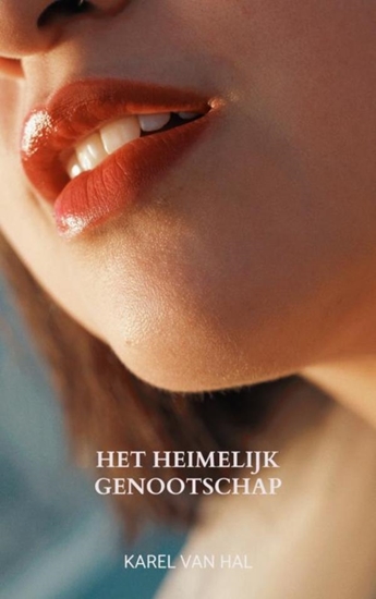 Afbeelding van Het heimelijk genootschap