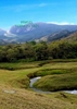 Afbeelding van Brasil - terra ou país