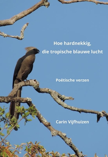 Afbeelding van Hoe hardnekkig, die tropische blauwe lucht