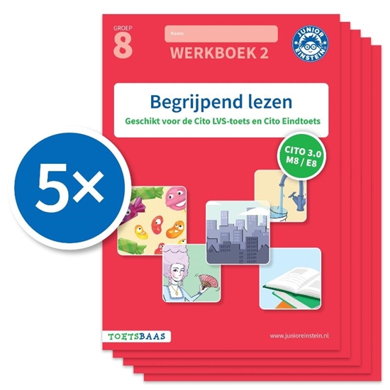 Afbeelding van Toetsbaas Begrijpend lezen (Set van 5) 2 Geschikt voor de Cito LVS-toetsen en Cito Eindtoets M8/E8 werkboek