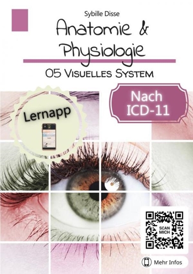 Afbeelding van Anatomie & Physiologie Band 05: Visuelles System