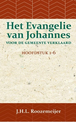 Afbeeldingen van Het Evangelie van Johannes voor de Gemeente verklaard 1