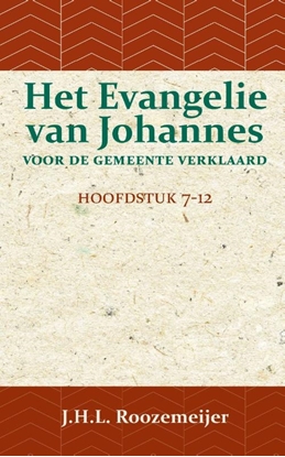 Afbeeldingen van Het Evangelie van Johannes voor de Gemeente verklaard 2