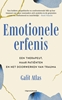 Afbeelding van Emotionele erfenis