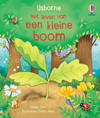 Afbeeldingen van Het leven van een kleine boom