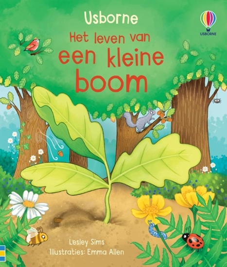 Afbeelding van Het leven van een kleine boom