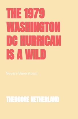 Afbeeldingen van The 1979 Washington DC Hurrican is a Wild Climate Occurrence Producing with it Freezing Conditions Roaring Breeze and Reduced Clarity.