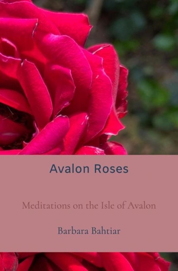 Afbeelding van Avalon Roses