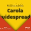 Afbeelding van the corona chronicles