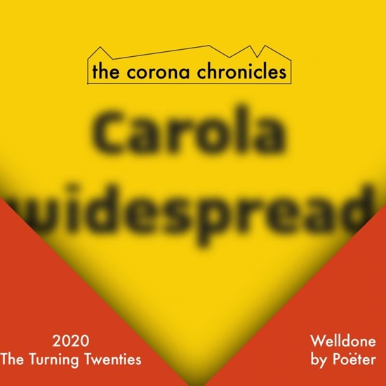Afbeelding van the corona chronicles