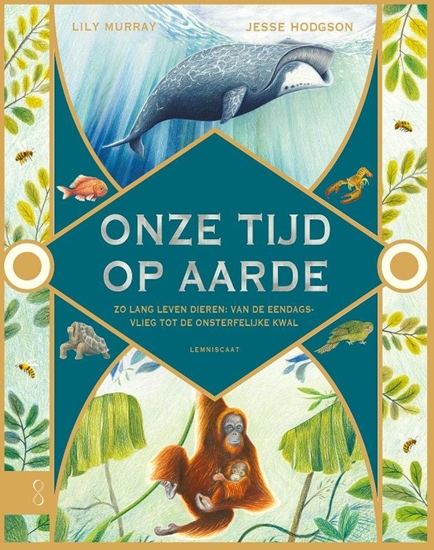 Afbeelding van Onze tijd op aarde
