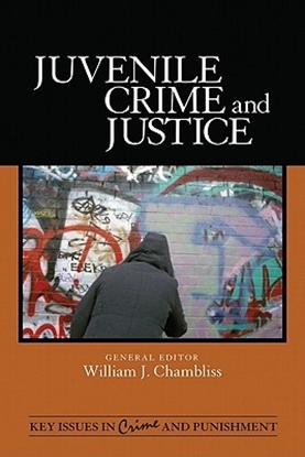Afbeeldingen van Juvenile Crime and Justice