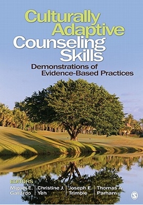 Afbeeldingen van Culturally Adaptive Counseling Skills: Demonstrations of Evidence-Based Practices