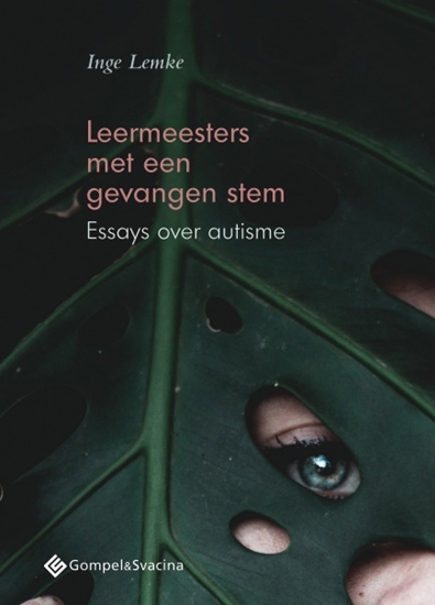 Afbeelding van Leermeesters met een gevangen stem