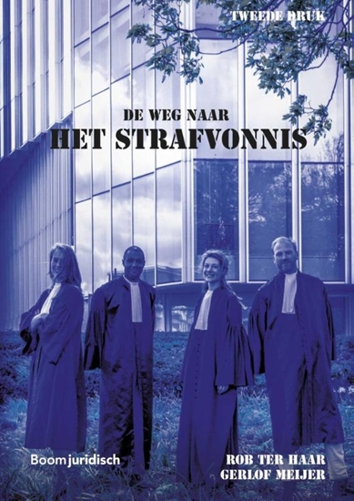 Afbeelding van Boom Juridische studieboeken De weg naar het strafvonnis