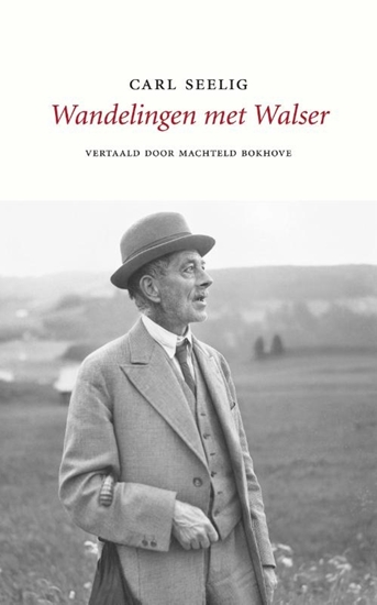 Afbeelding van Wandelingen met Walser
