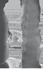 Afbeelding van Een klein detail