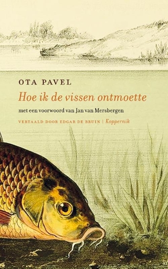 Afbeelding van Hoe ik de vissen ontmoette