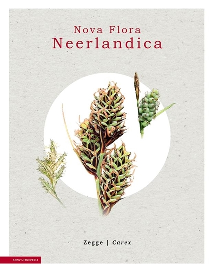 Afbeelding van Nova Flora Neerlandica Zegge - Carex