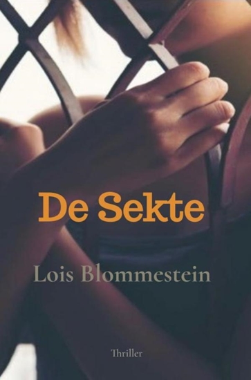 Afbeelding van De Sekte