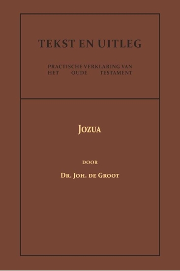 Afbeelding van Tekst en Uitleg van het Oude Testament Jozua