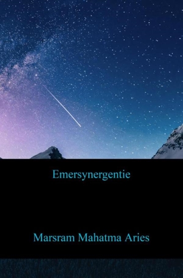 Afbeelding van Emersynergentie