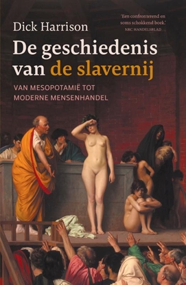 Afbeeldingen van De geschiedenis van de slavernij