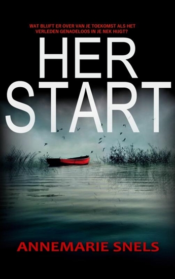 Afbeelding van Herstart