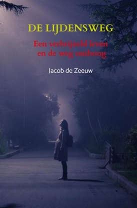 Afbeeldingen van De lijdensweg