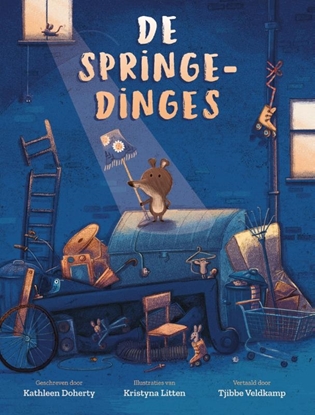 Afbeeldingen van De Springedinges