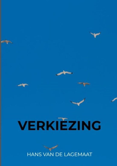Afbeelding van Verkiezing