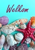 Afbeelding van Gastenboek Bed en Breakfast / Vakantiehuis / Hotel / Vakantiewoning (A5, paperback)