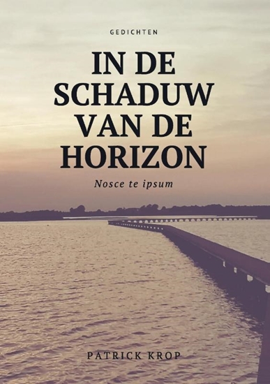 Afbeelding van Bundel dicht in de schaduw van de horizon
